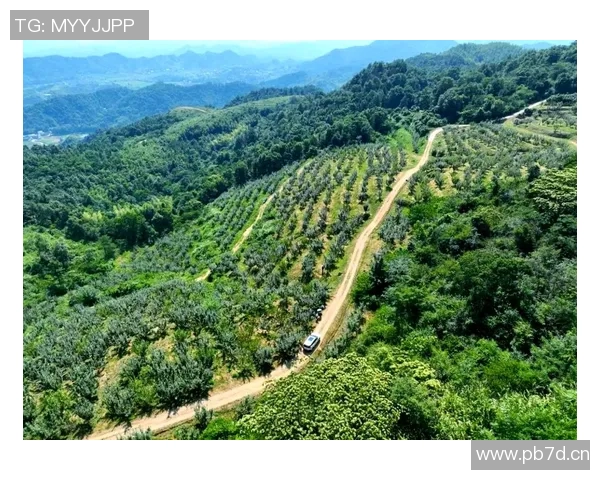 亲身体验果园采摘乐趣，探索秋日丰收的自然之美